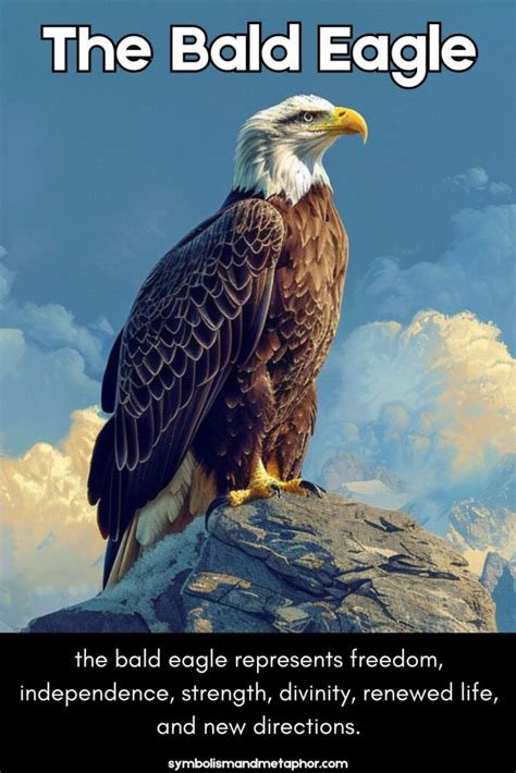 What does the Bald Eagle Represent in the USA?