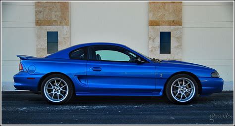 SN95 Mustang | iTrader: 0 reviews | Sn95 mustang, Mustang, Ford mustang ...