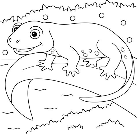 Newt Animal Coloring Page for Kids 10002443 Vector Art at Vecteezy