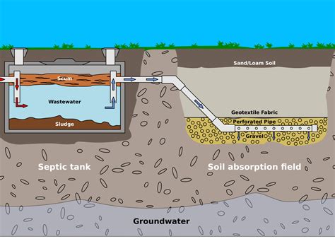 How Does My Septic System Work? - Peak Sewer