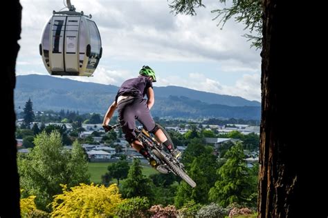 Rotorua Skyline Gondola, Restaurant, Luge, wine tasting & Stargazing