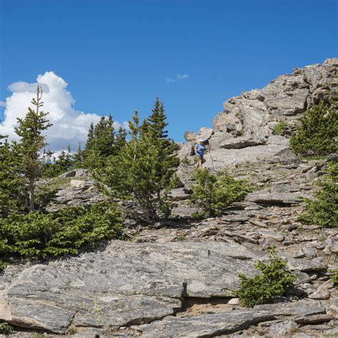 Chief Mountain Trail, a Hike to the Summit | Crazy About Colorado