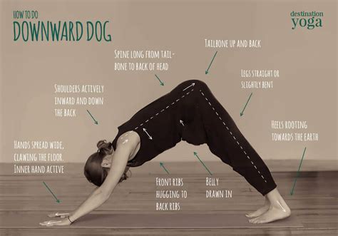 How To Keep Back Straight In Downward Dog