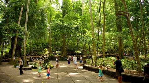 Ubud Monkey Forest in Ubud, | Expedia.ca