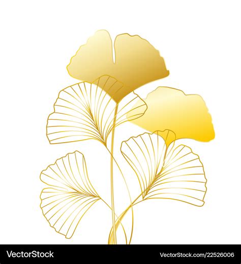 Ginkgo biloba leaves Royalty Free Vector Image