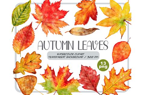 Set Of Autumn Leaves Png Clipart Image - Autumn Leaf Png Clipart - Clip Art Library