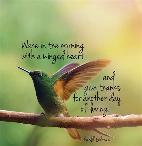 23 best Hummingbird quotes images on Pinterest | Hummingbird quotes, Hummingbird and Hummingbirds