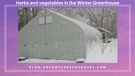 Herbs and Vegetables in the Winter Greenhouse - Advance Greenhouses