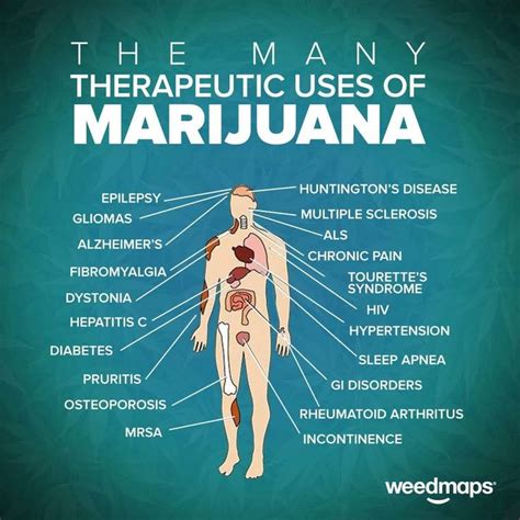 Osteoporosis, Herbalism, Fibromyalgia Syndrome, Buy Weed, Smoke, Fungi ...