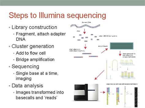 Introduction to Illumina Sequencing Day 1 Video 2