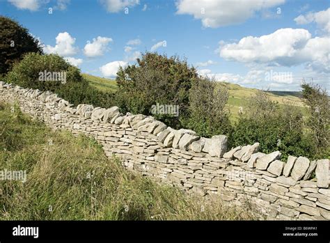 Dorset countryside Stock Photo: 21464633 - Alamy