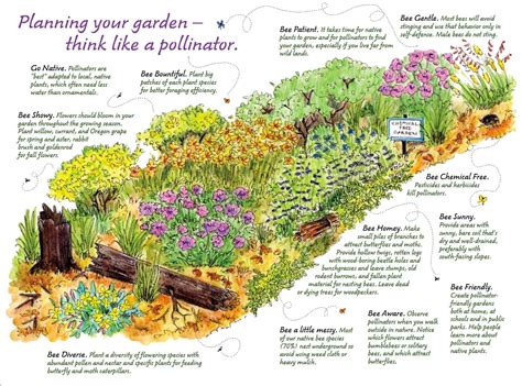 Image result for native pollinator garden design | Bee friendly garden, Pollinator garden design ...