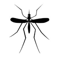 Mosquito Png Images Transparent HQ PNG Download | FreePNGImg