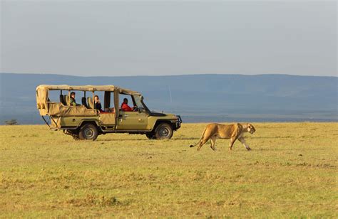 Eight Top Safaris to do in Maasai mara in 2022 | Maasai Mara Safaris