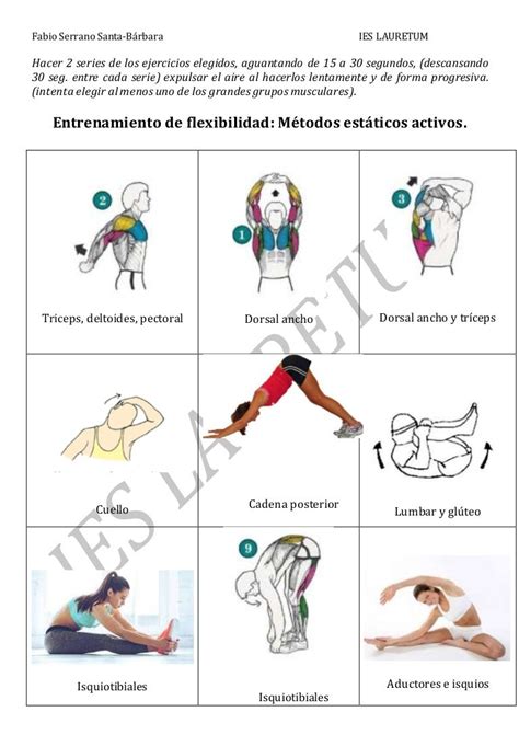 Entrenamiento flexibilidad.