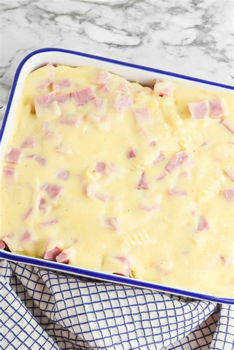 Ham and Cheese Casserole - Recipes Simple