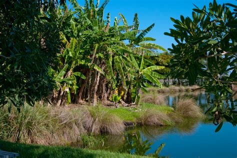 Palma Sola Botanical Park | Florida Hikes