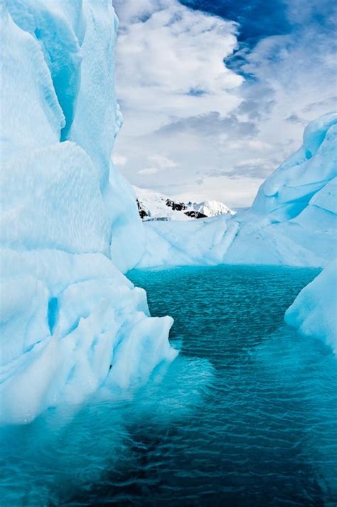 Icebergs in Antarctica. Photo by Duane Miller on Flickr. | Antarctica ...