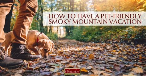 How to Have a Pet Friendly Smoky Mountain Vacation