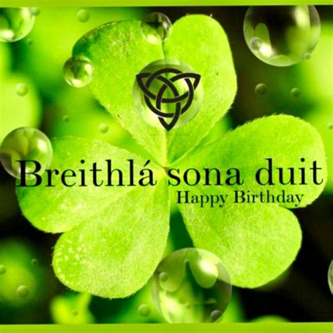 Irish 40th Birthday Quotes - ShortQuotes.cc