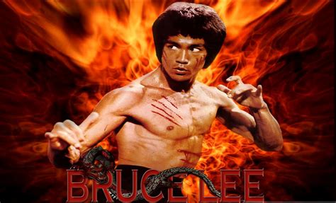 Bruce Lee Wallpapers Full Hd Wallpapers - vrogue.co