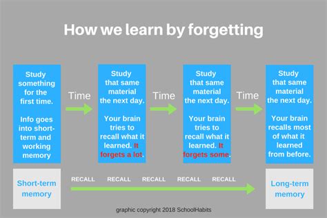 Study tip: How forgetting what you studied can improve your grades ...