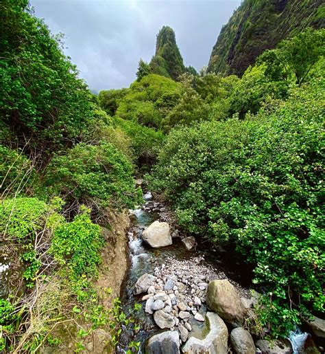 Iao Valley State Park Guide and hiking around the Iao Needle — The Sweetest Escapes