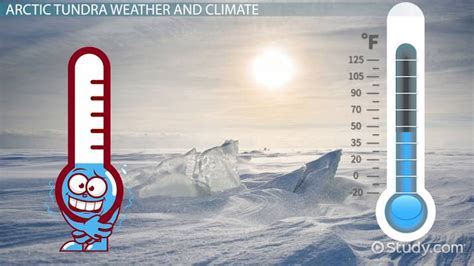 Arctic Tundra | Climate, Location & Average Temperature - Lesson | Study.com