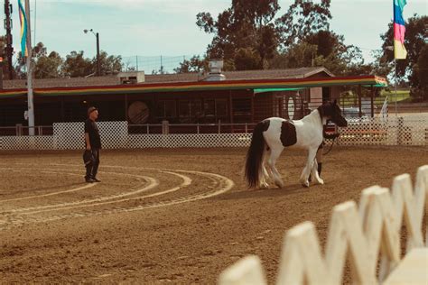 Santa Barbara National Horse Show — Earl Warren Showgrounds