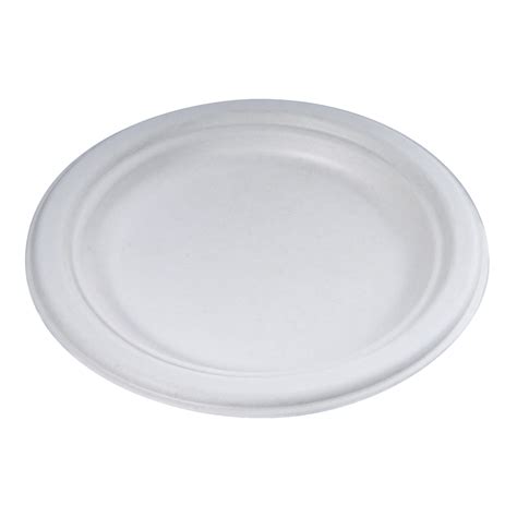 Bagasse Plates. 100% Compostable Paper Plates, Heavy Duty Disposable Plates [125-Pack] 9 Inch ...