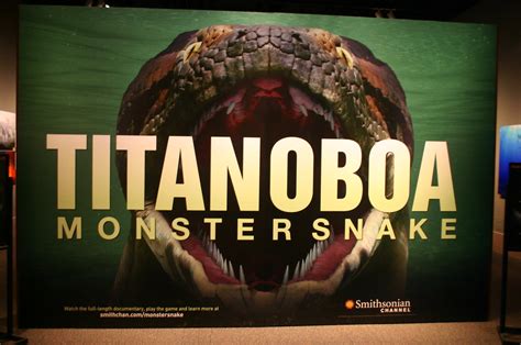 Titanoboa | Taken at the Smithsonian Natural History Museum.… | Flickr