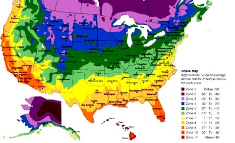 Your Zone and Average Temperatures :: The Garden Patch | Gardening ...