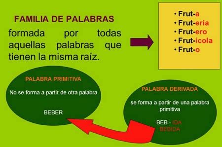 10 ejemplos de familia de palabras y definición - Yavendrás