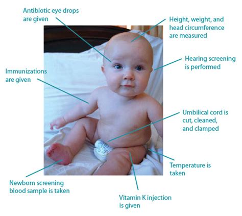 Maple syrup urine disease symptoms in newborn - criticreka