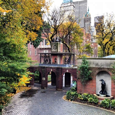 Central Park Zoo. | New York City | Pinterest