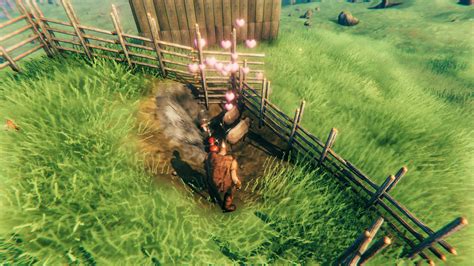 Pig Farming Valheim - Farm House