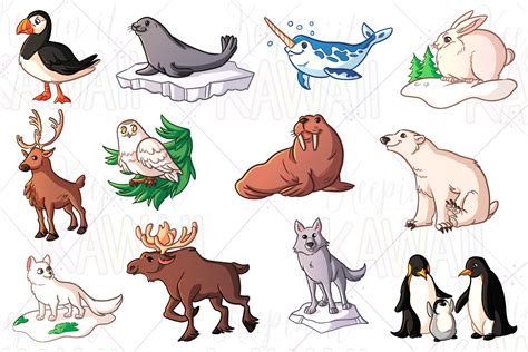 Arctic Animals Clip Art, Kawaii Arctic Animals, Animal Clip Art Bundle ...