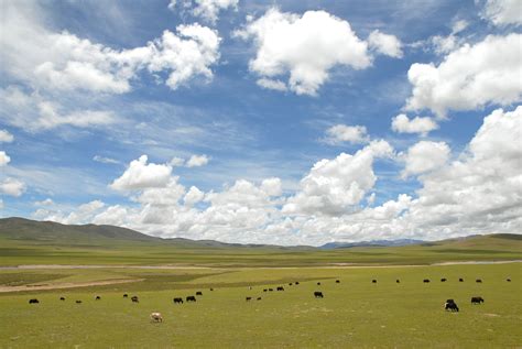 Fichye:Tibet landscape.jpg — Wikipedya