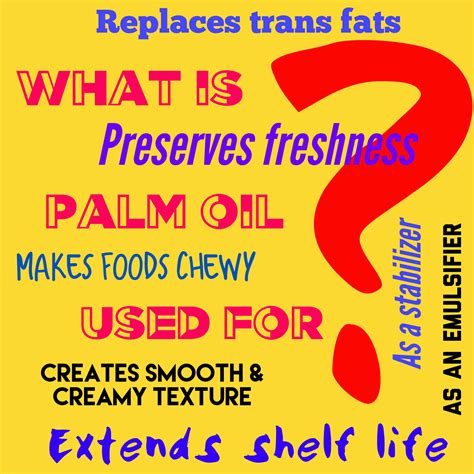 Palm Oil Uses | What is Palm Oil Used For?