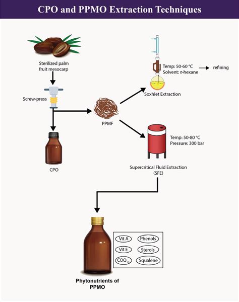 Extraction methods of Crude Palm Oil (CPO) and Palm‐pressed Mesocarp... | Download Scientific ...