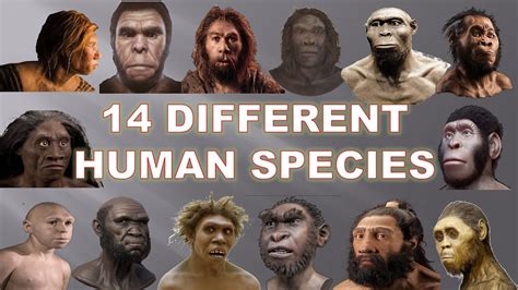 Why are there so many variations of species but not of humans? | Page 3 ...