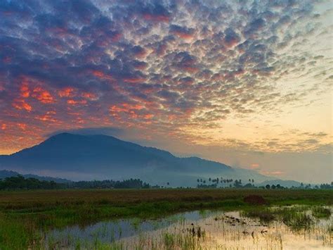 Gunung Jerai is set to become the second geopark in Kedah and the ...