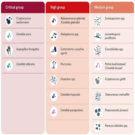 Fungal Diseases - ClearIAS