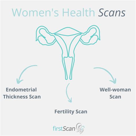 Our new Women’s Health Scans are now... - Window to the Womb