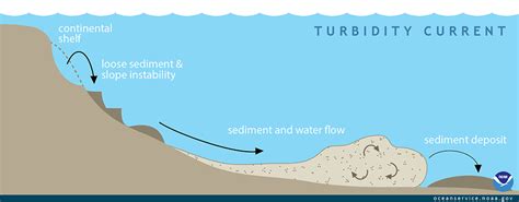 What is a turbidity current?