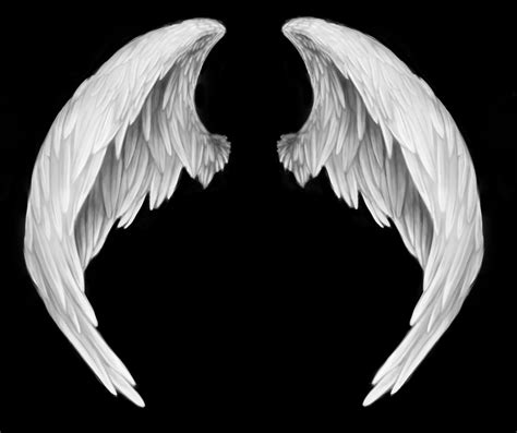 white-angel-wings | White angel wings, Wings, Angel