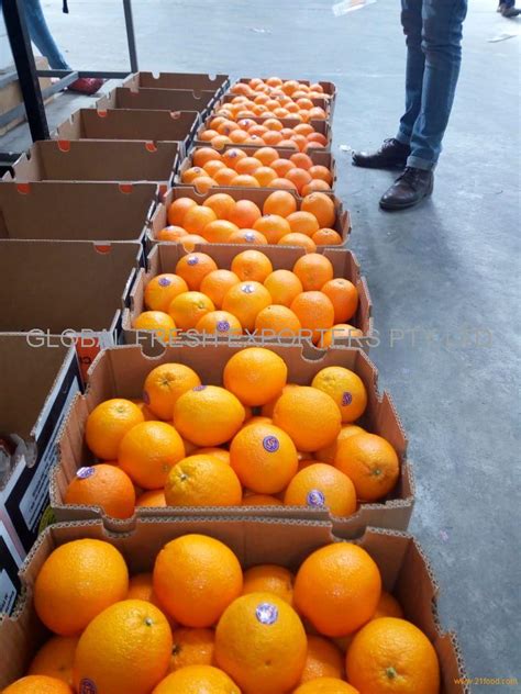 Valencia Orange products,South Africa Valencia Orange supplier