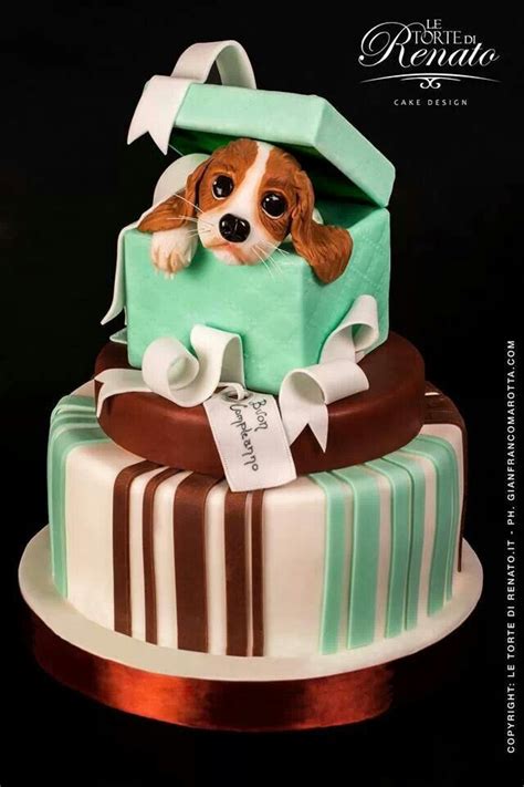 puppy peek a boo cake Pretty Cakes, Cute Cakes, Puppy Cake, Doggie Cake, Gateaux Cake, Animal ...