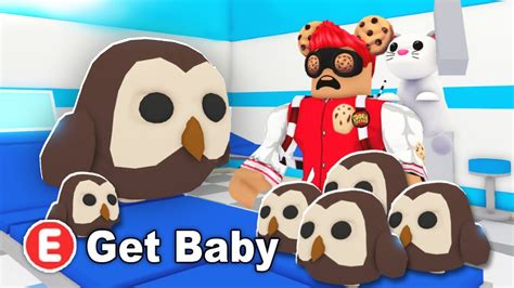 Adopt Me Baby Pets Update Coming Soon? - YouTube