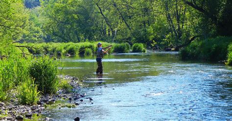 Stunning Streams Lure Trout Anglers to Minnesota | Explore Minnesota